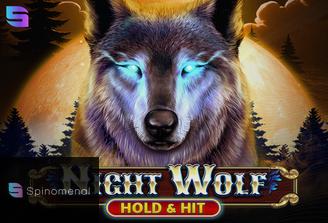 Night Wolf - Hold & Hit